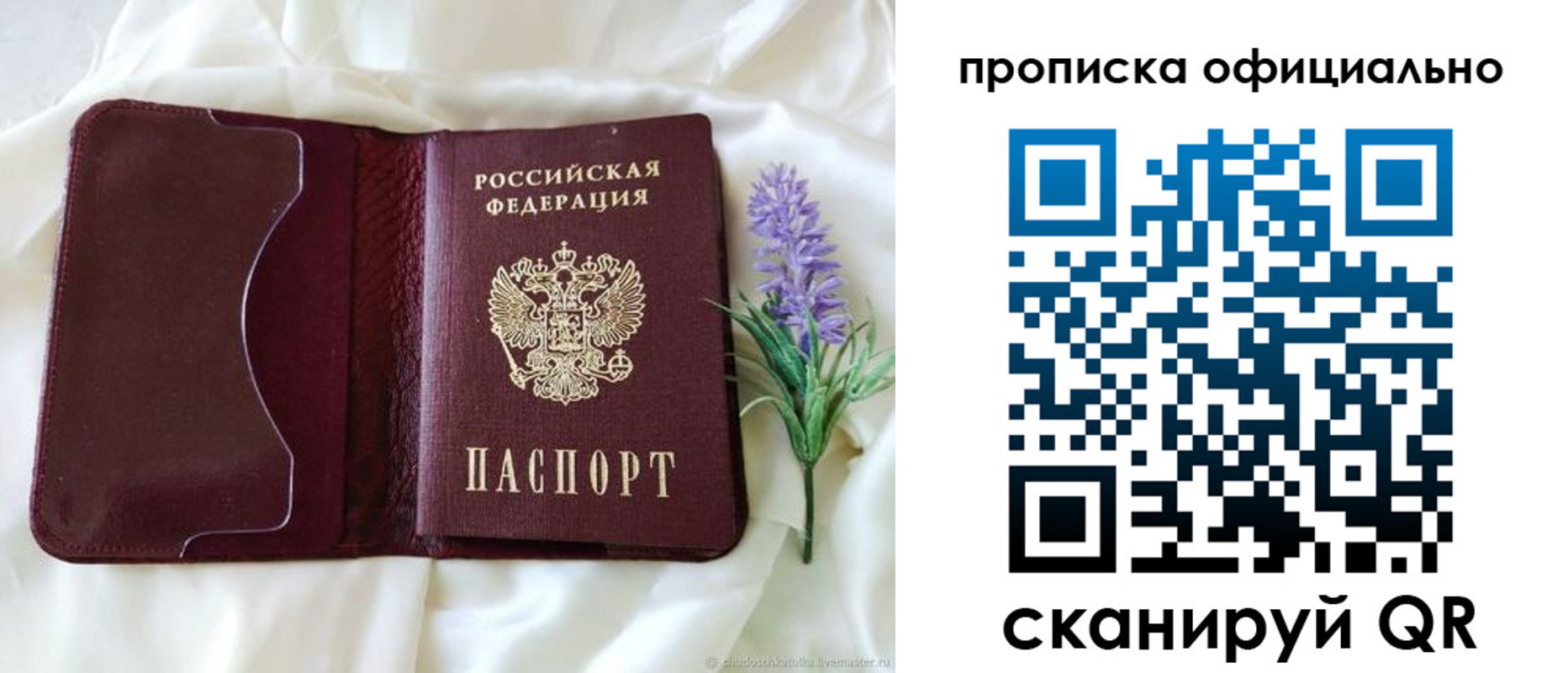 прописка поиск в Миассе